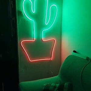 Neon decorativo cactus
