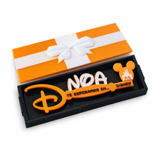 Llaves Disney “nos vamos a Disney” customizada Rey leon
